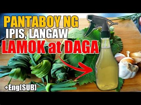 Mabisang Paraan Upang Mawala ang Mga Ipis, Langaw, at Daga .